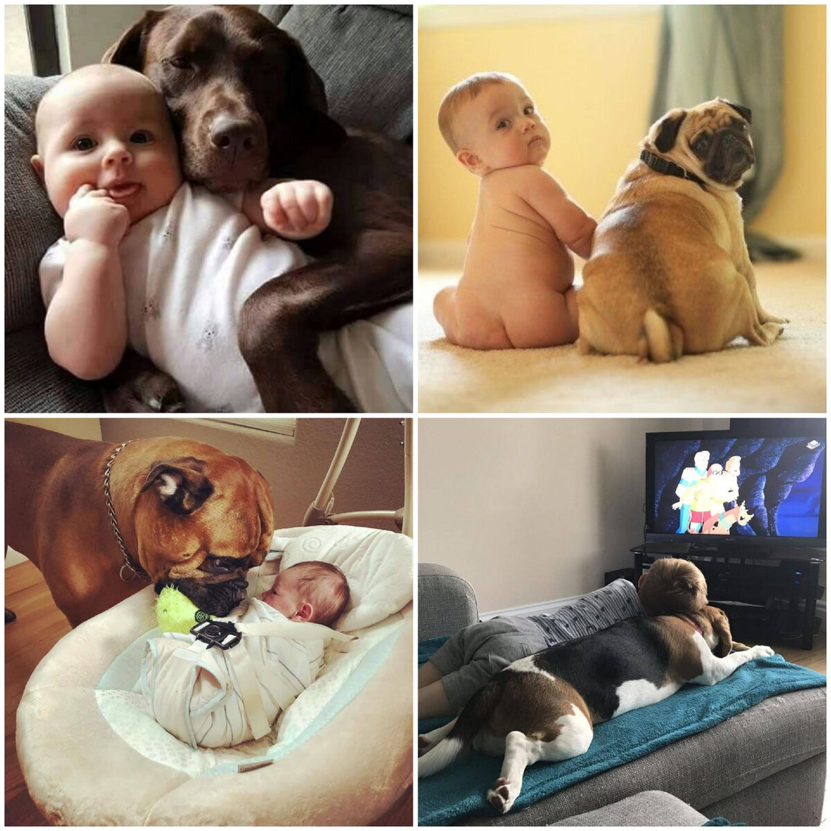 pinterest.ru фото