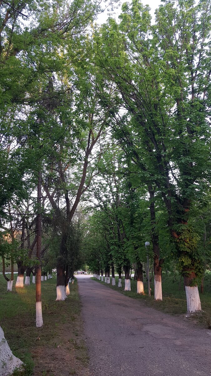 Село-легенда в Крыму. Большое, зелёное, с супермаркетами, салоном красоты,  до моря 30 минут езды, недвижимость стоит от 750 тыс. | Добрый Крым. | Дзен