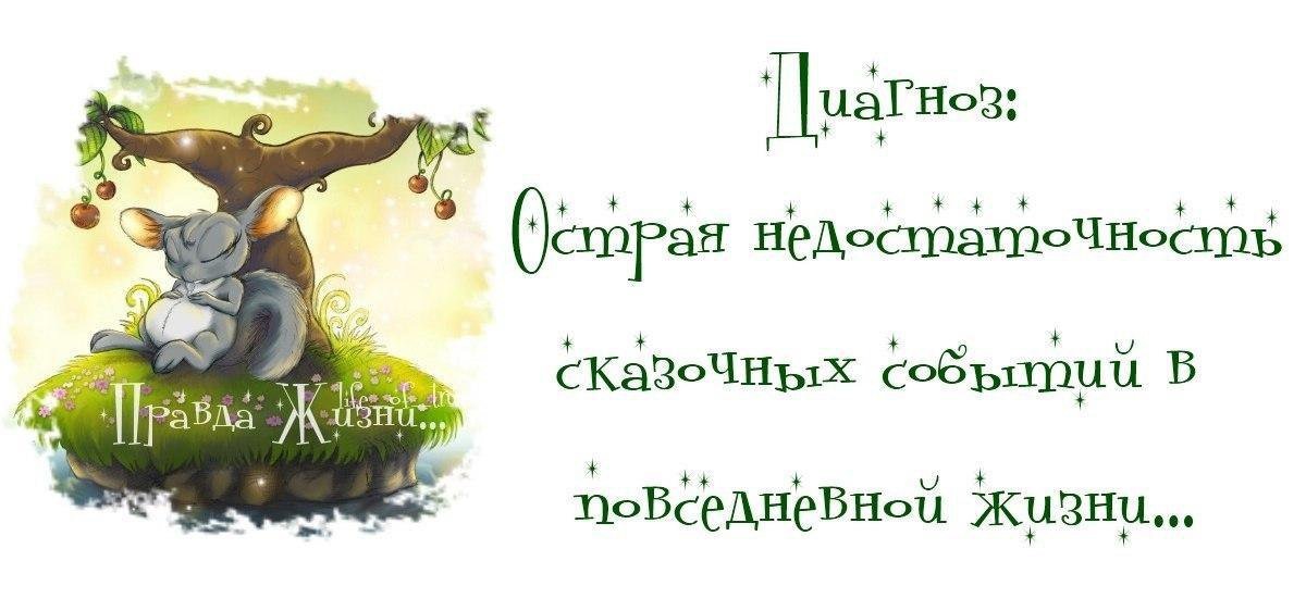 из открытых источников https://m.fotostrana.ru/public/post/235877/1200318888/