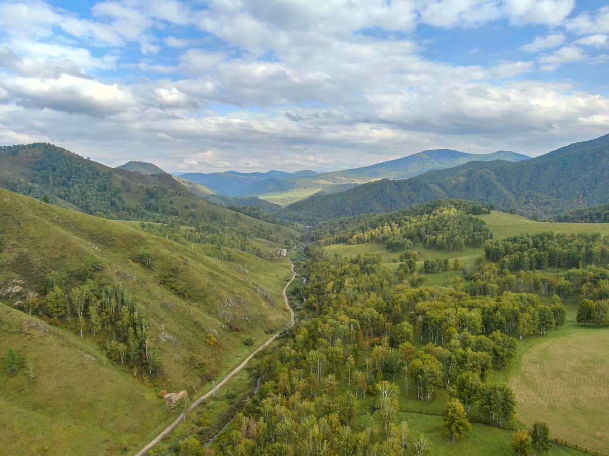 Грунтовая дорога от питомника к Чуйскому тракту. Съёмка с дрона