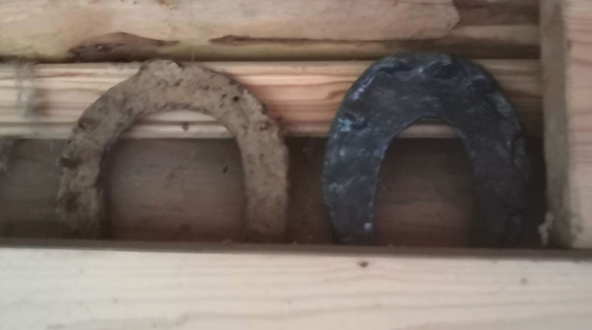 Мой вариант: Подковы над дверным косяком, в положении защита