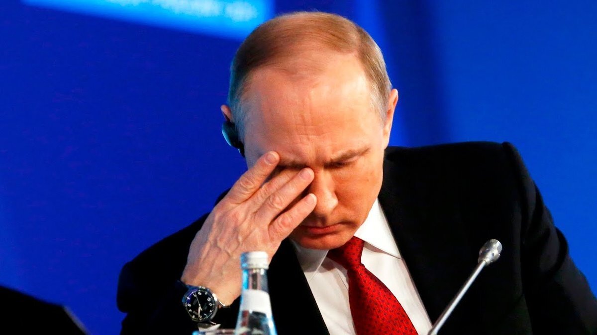 Владимир Путин.. Фото  коллекция Яндекс. Дзен..