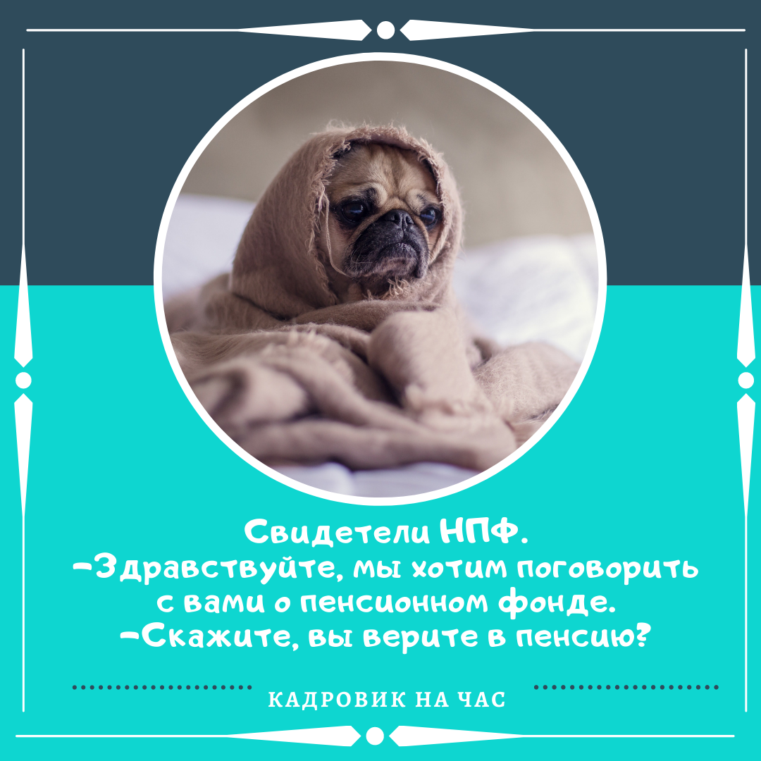 ПОДПИСЫВАЙТЕСЬ НА КАНАЛ, что бы получать информацию о трудовом законодательстве в легкой и доступной форме.
