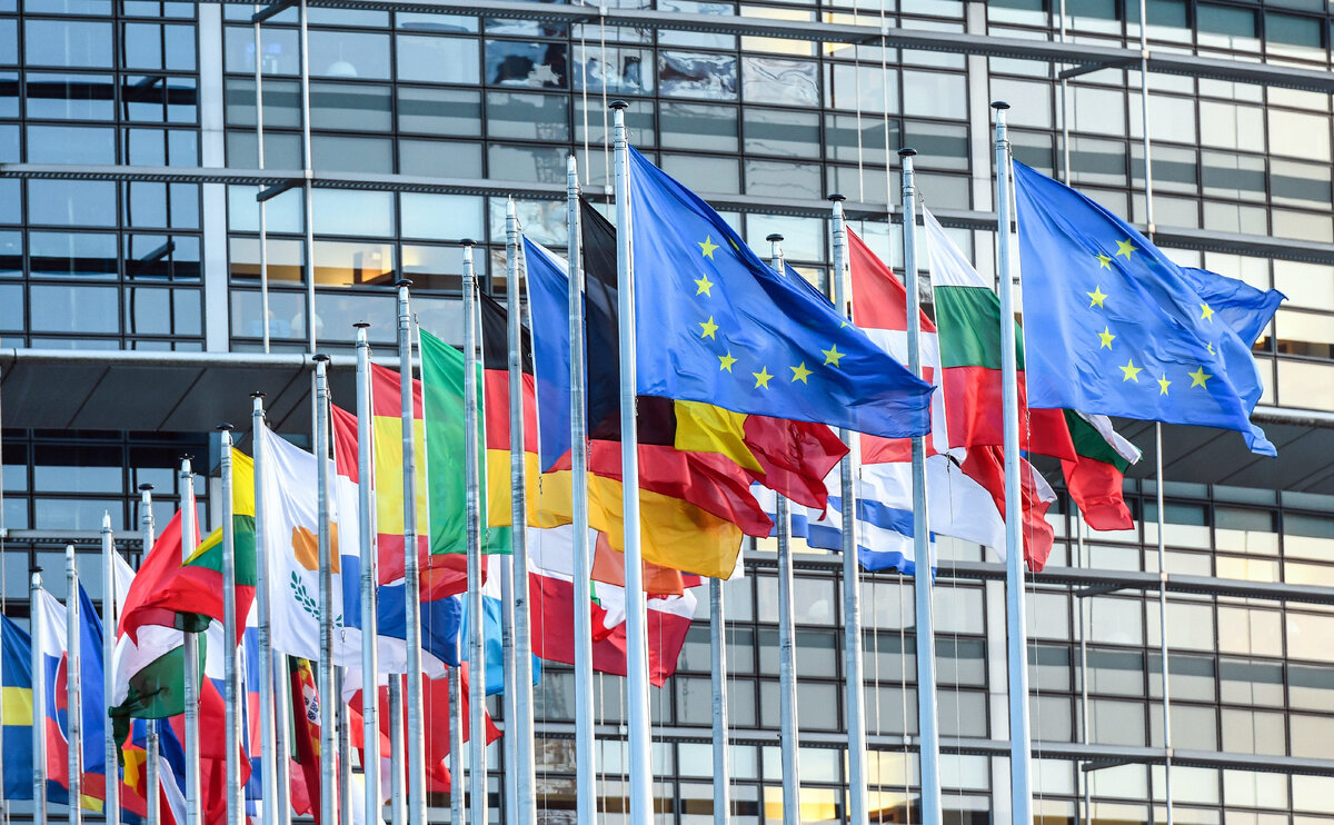 Яндекс картинки