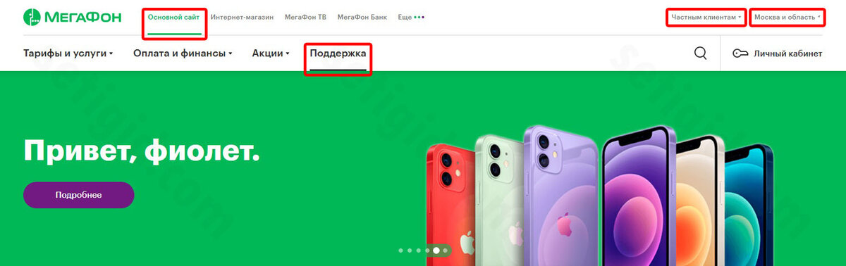 Выбор населённого пункта. Разделы «Частным клиентам» и «Основной сайт». Переход к категории «Поддержка» на сайте «МегаФона» 