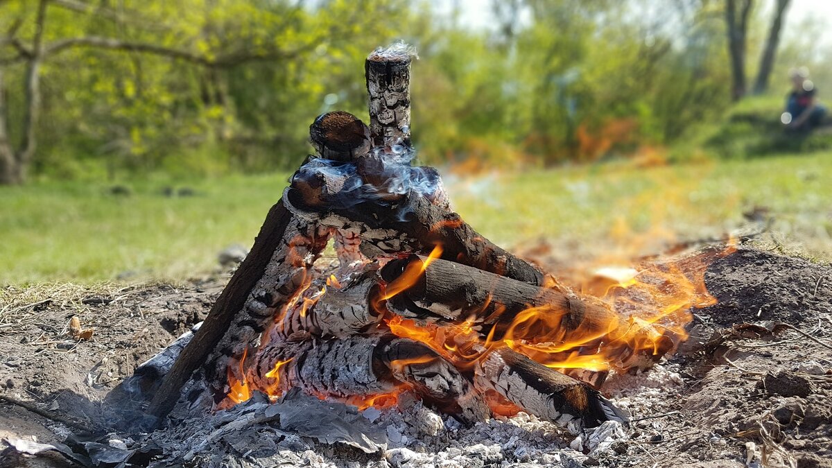 Новые правила разжигания костров на природе. Думаю, как теперь жарить  шашлык, чтобы не оштрафовали | AnavrinTrip | Путешествия как состояние души  | Дзен