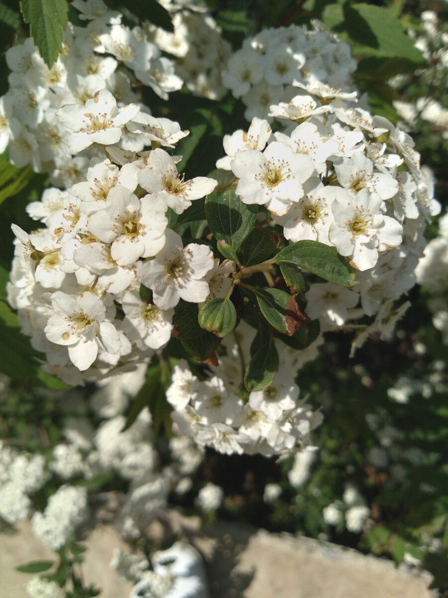 Личное фото 