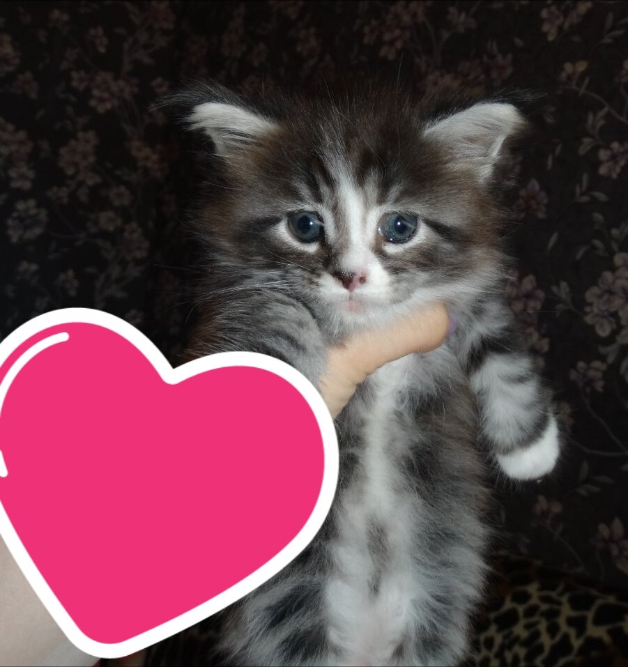 Моя прееелесть!