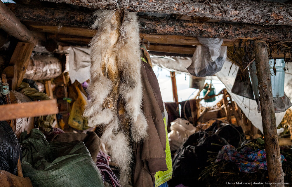 Фото из открытых источников