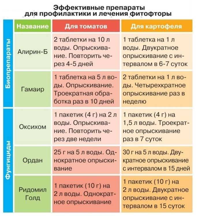 Схема обработки томатов от фитофторы