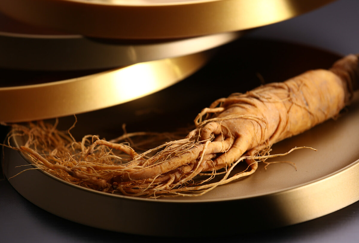 Корень женьшеня