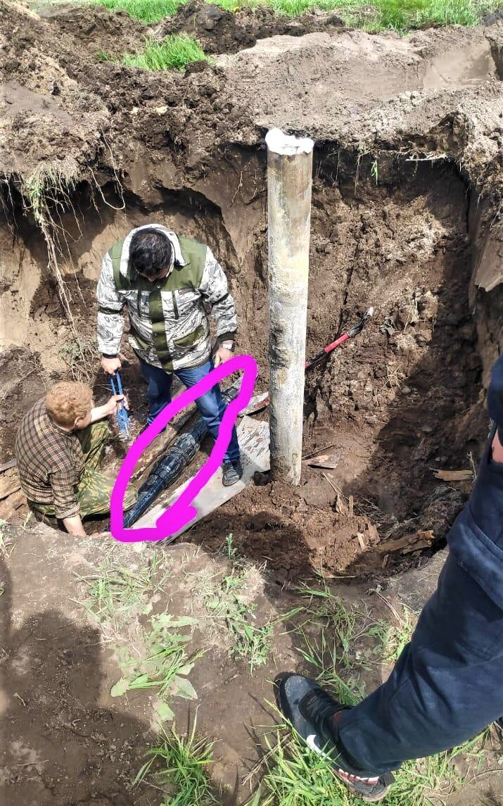 Личное фото автора