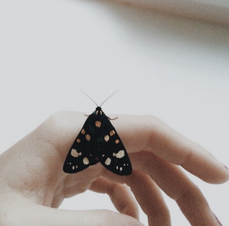 фото: Анна Асриян 