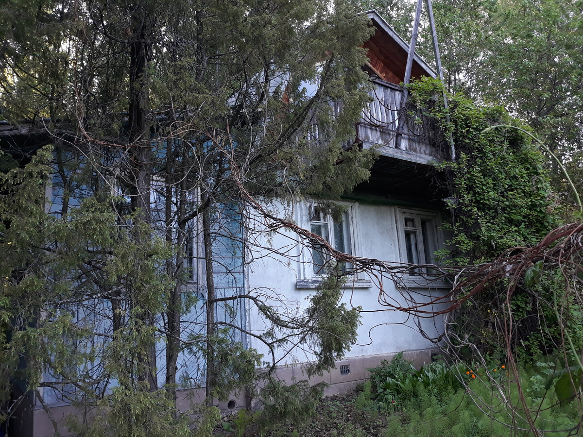 Слева проход ко входу и доп. постройкам