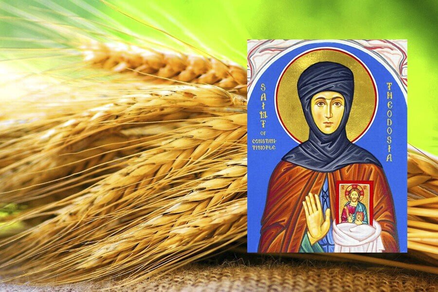 Фото из открытых источников.