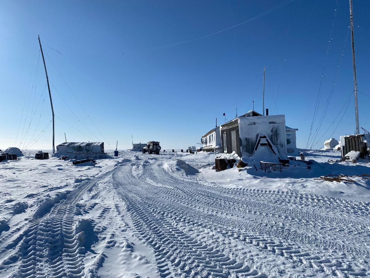 Где самые северные грядки в России? Как семья полярников в парнике на ...