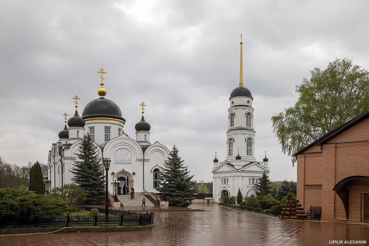 Тихоновская улица. Тихоновский Преображенский монастырь. Свято Тихоновский женский монастырь Торопец. Задонский Свято-Тихоновский Преображенский женский монастырь.