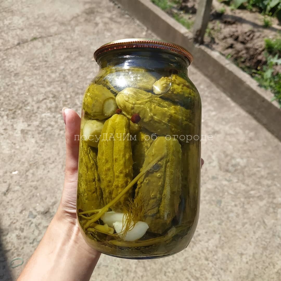 Засол этого года
