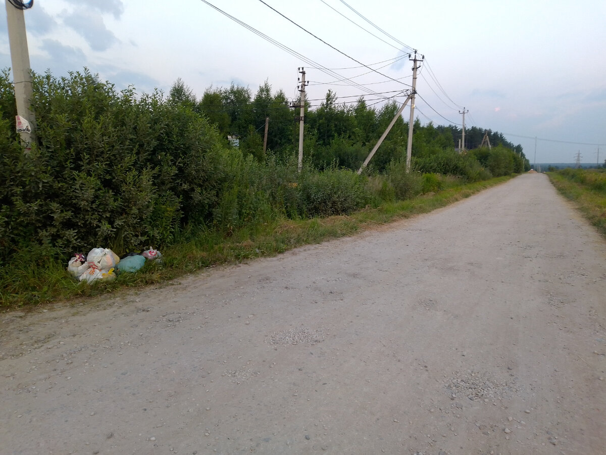 Именно на этом месте должна стоять оборудованная контейнерная площадка.