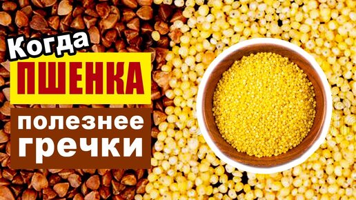 Когда пшенка полезнее гречки?