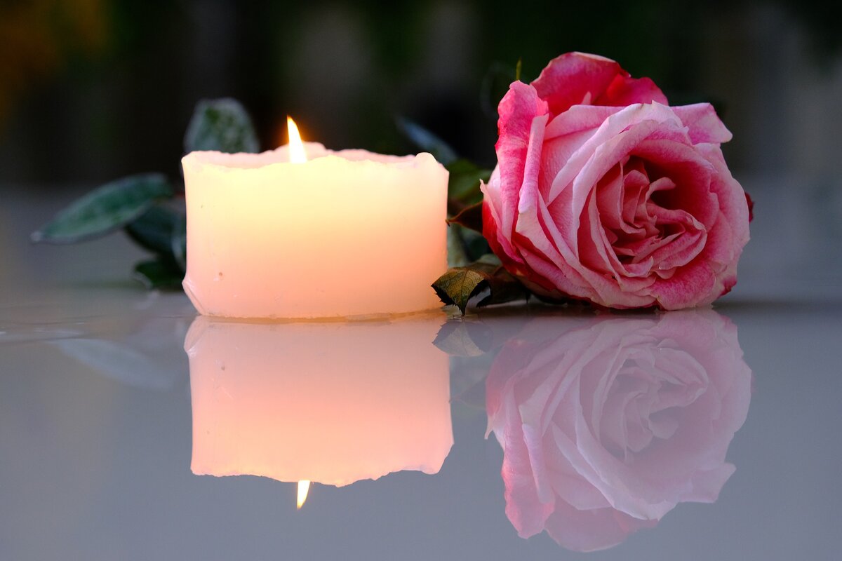 фото с https://pixabay.com