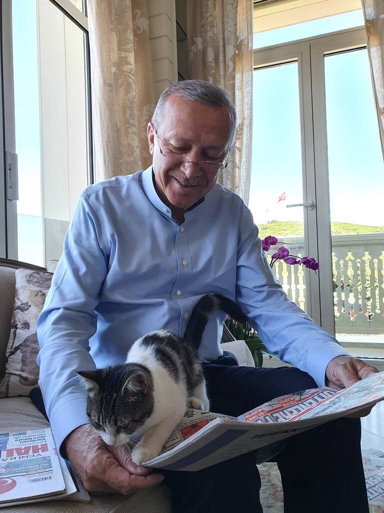 фото яндекс. картинки