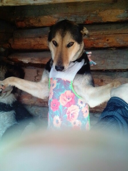 Дарси, самая лучшая! 