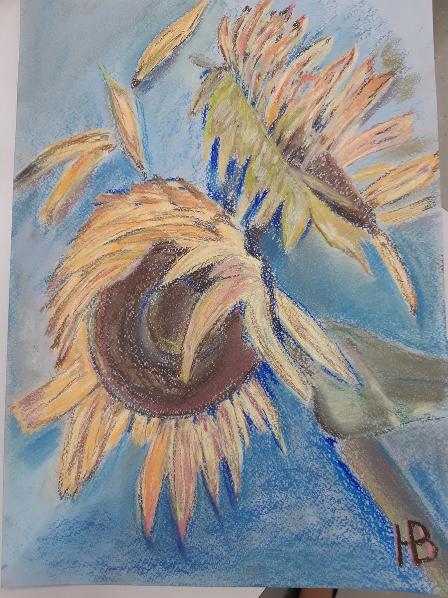 В пасмурную погоду подсолнухт поворачиваются "лицом" друг к друг, словно говорят: ты мое солнышко!