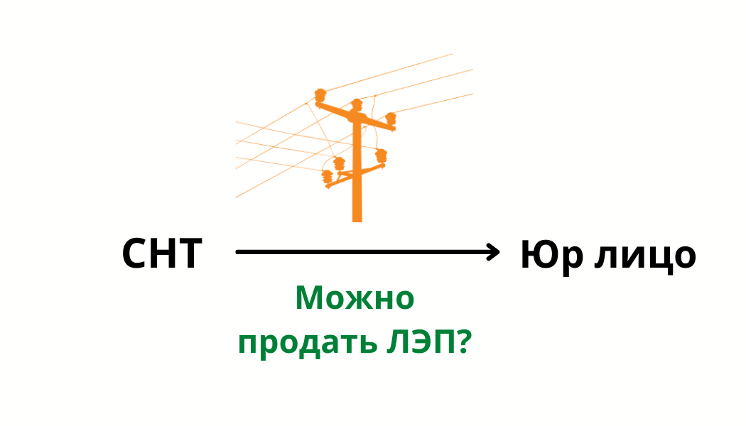 Только ли государству можно отдать сети СНТ?