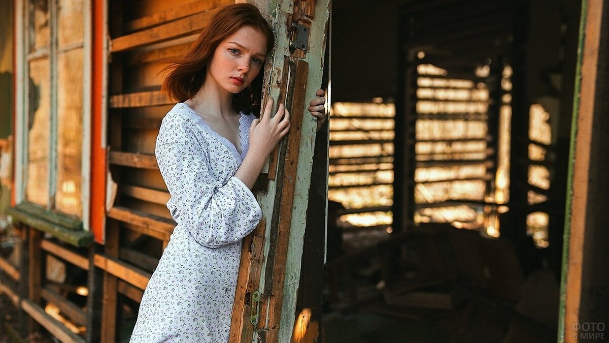 Яндекс картинки