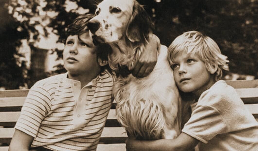 Кадр из фильма «Белый Бим Чёрное ухо», 1977