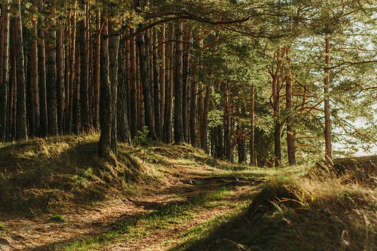 Фото: Irina Iriser / Unsplash