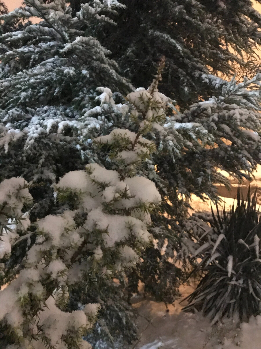 А это уже вечером! 