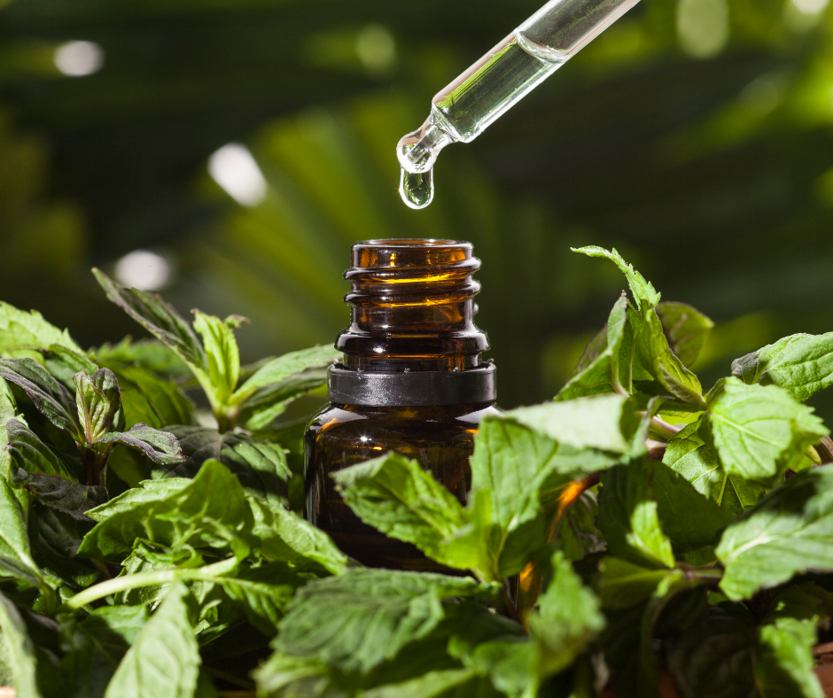 Капля масла содержит питательных веществ из нескольких килограмм сырья 