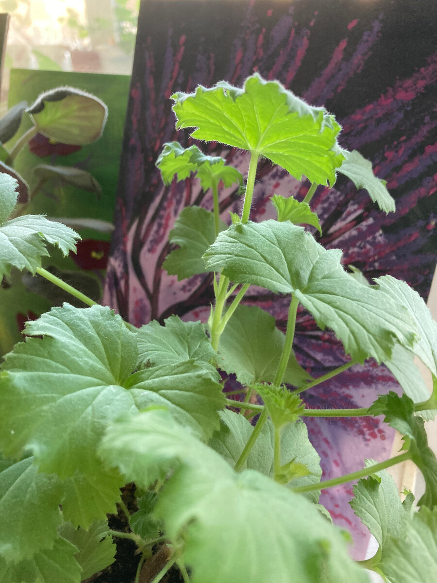 Фото из личного архива автора