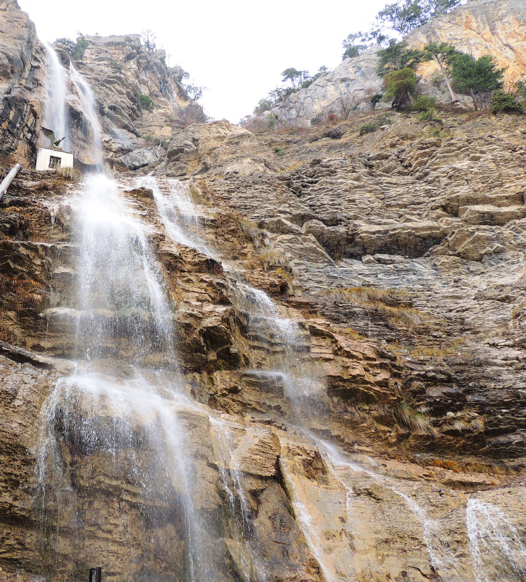 личный архив