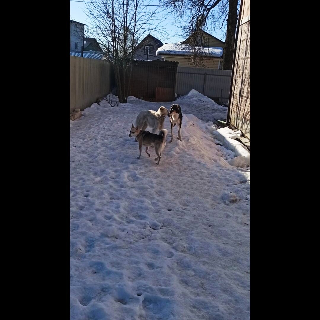 Нос к Носу)))