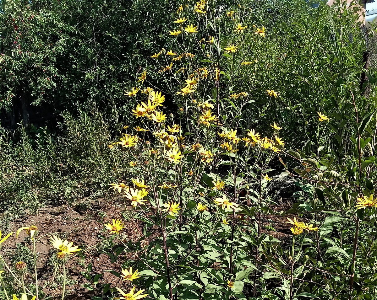 грустное настроение. Фото автора канала.