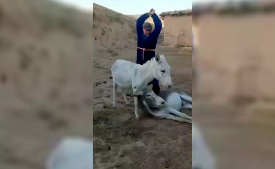 Порно видео Парня жестко ебут. Смотреть гей видео Парня жестко ебут онлайн