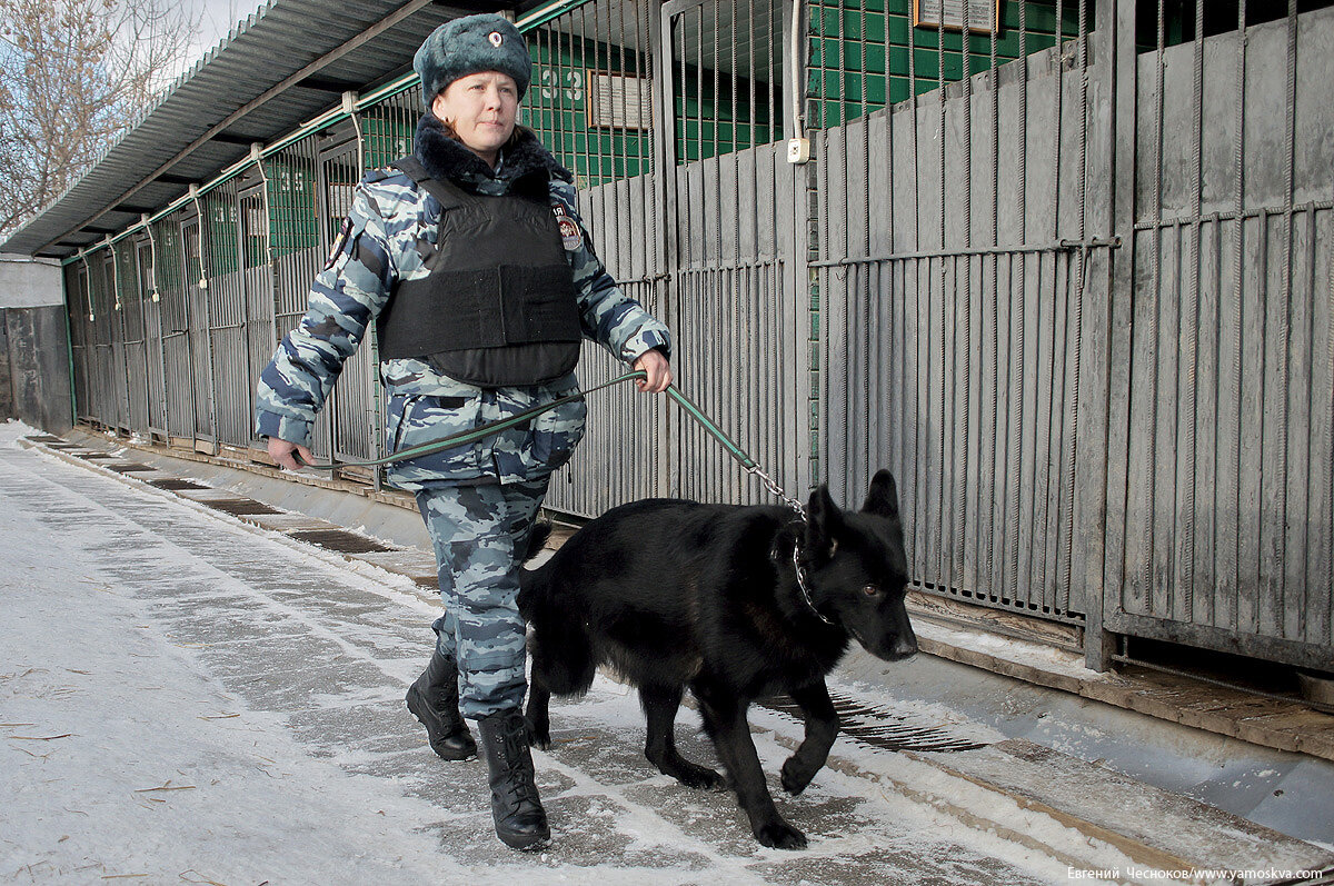 Город на память». 310. Останкино. Новомосковская улица | Город на память |  Дзен