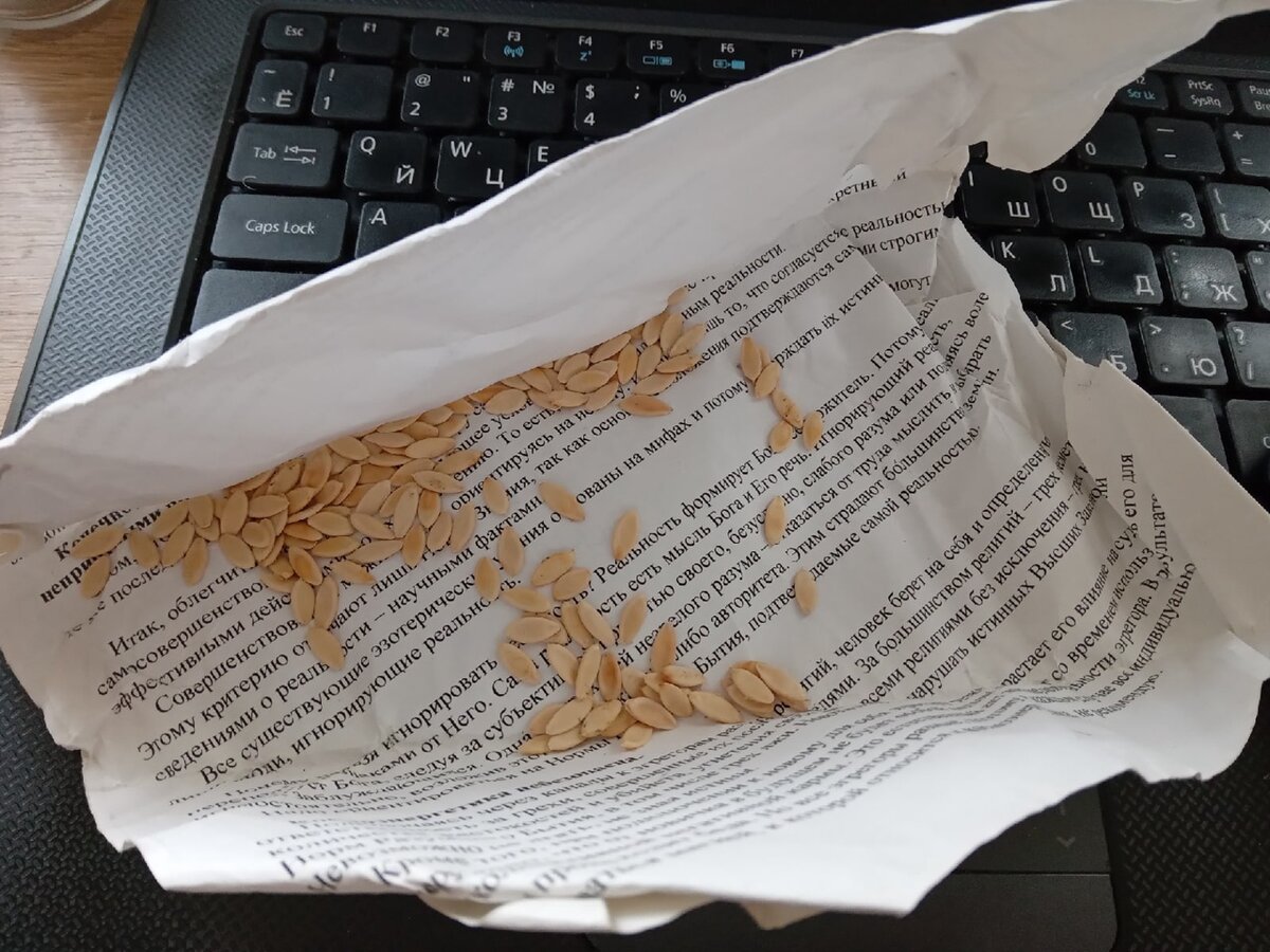 Заготовка семян огурцов. Урожай 2021 года