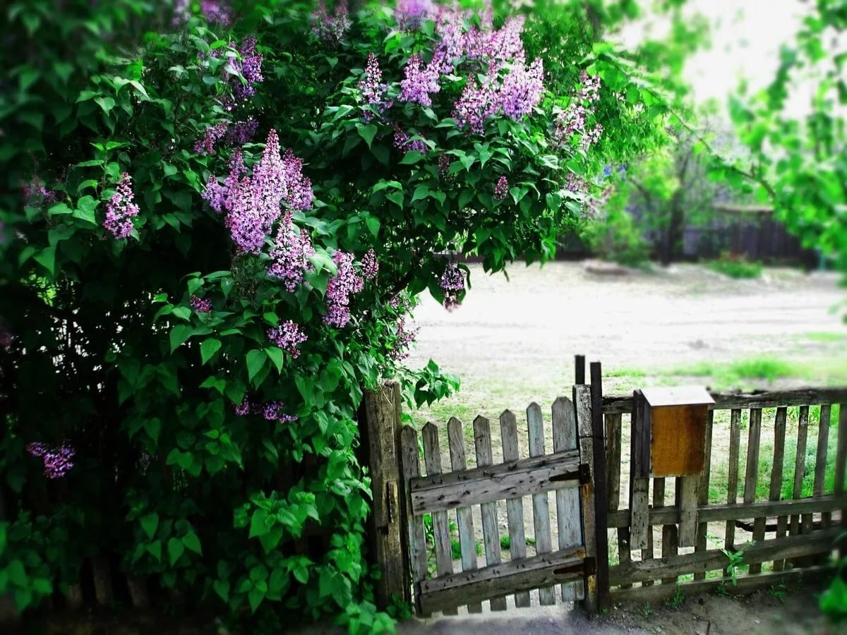 Изображение взято из открытого доступа в интернете