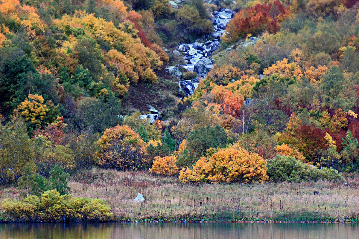Верхняя Мзымта перед впадением в озеро Кардывач 