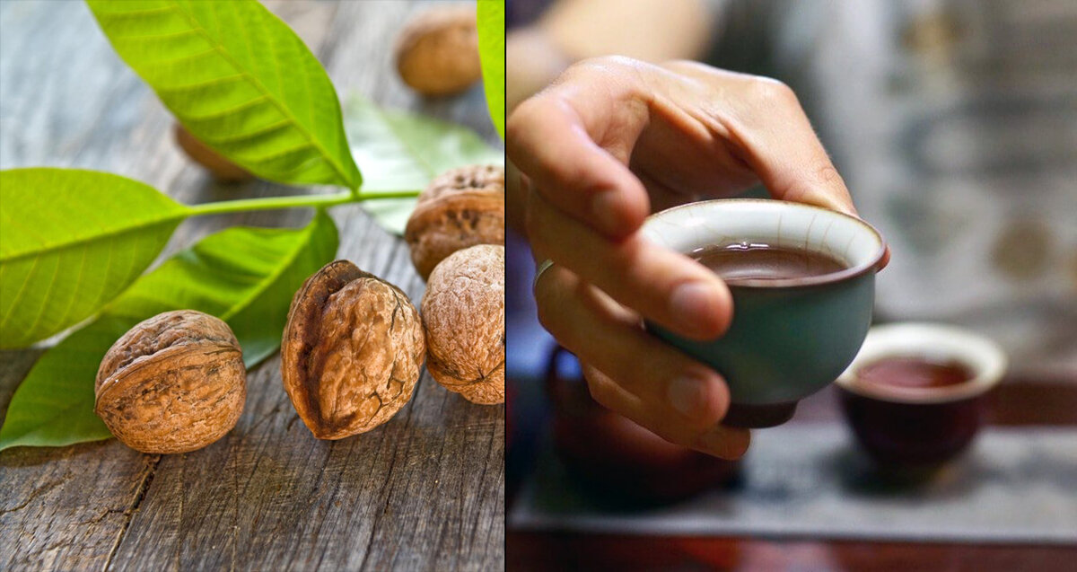 чай из листьев грецкого ореха