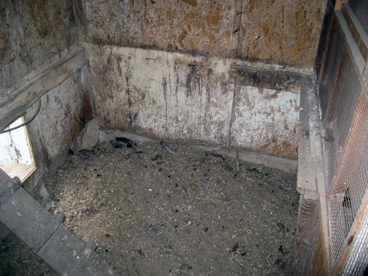 Насесты сняты