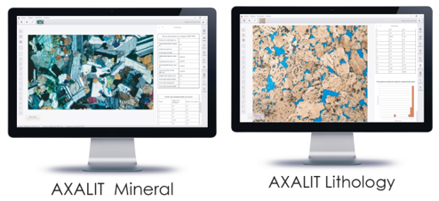                       Рис. 1 Модули AXALIT Mineral и AXALIT Lithology