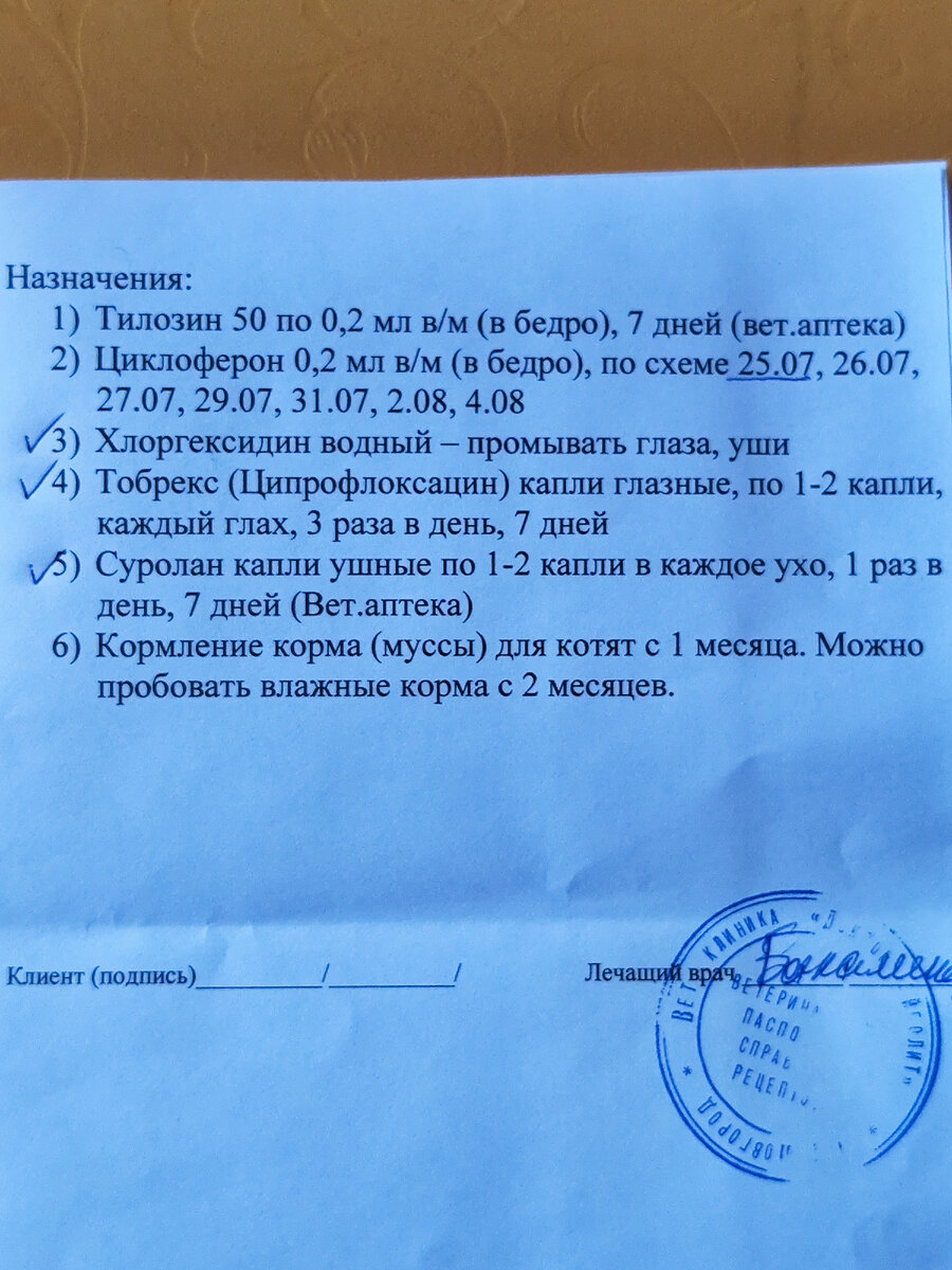 Назначение 