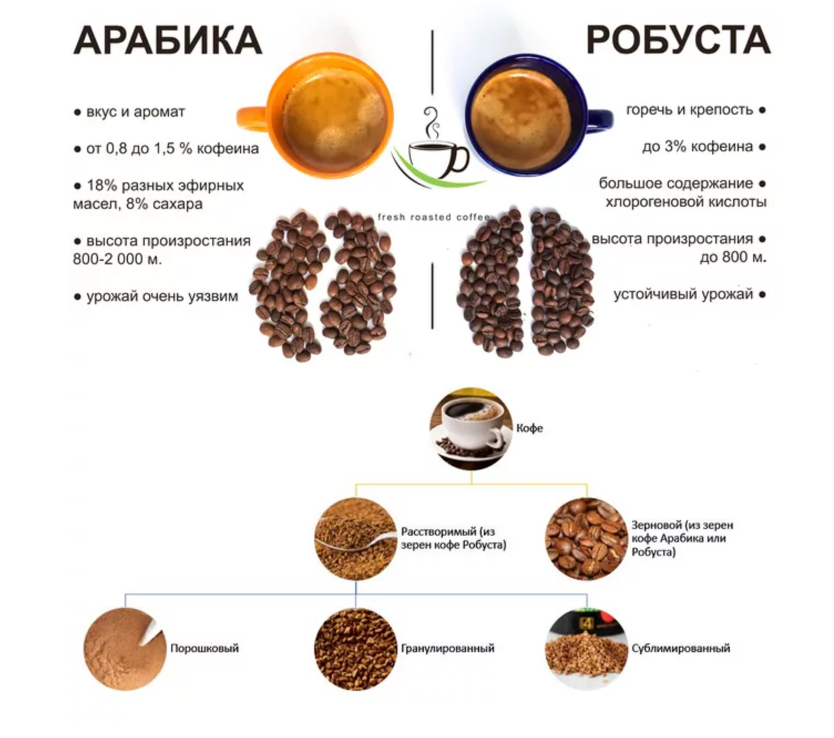 Робуста и арабика различия