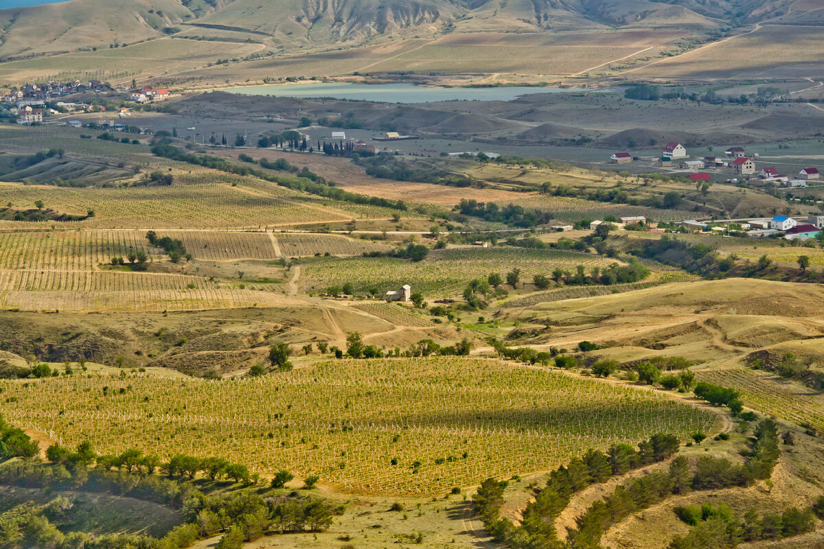 СОЛНЕЧНАЯ ДОЛИНА» – уникальный терруар Крыма 🍇 | Крым Дзен | Дзен