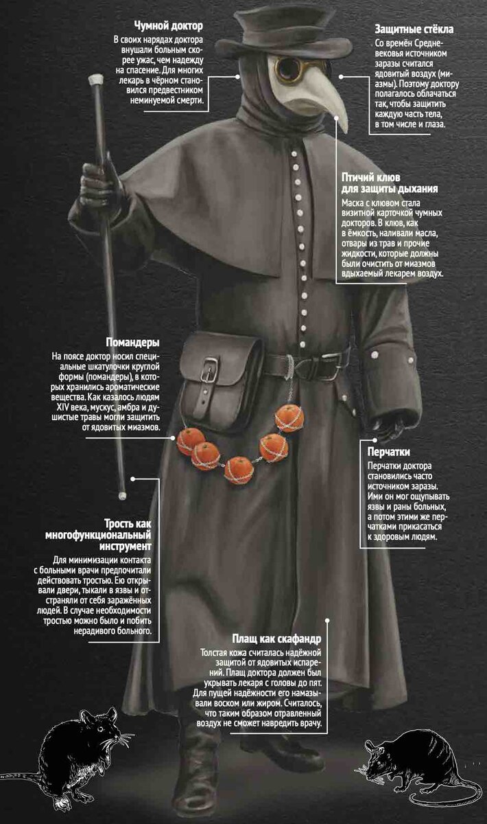 Можно ли заболеть чумой. Можно ли заболеть чумой. Клинические проявления чум. Можно ли заболеть чумой. Чума проявления клинические проявления.